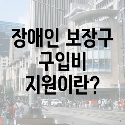 장애인 보장구 구입비 지원이란?