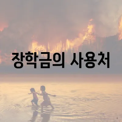 장학금의 사용처
