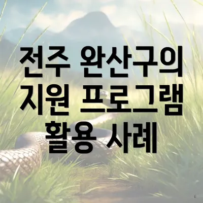 전주 완산구의 지원 프로그램 활용 사례