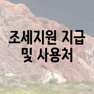 조세지원 지급 및 사용처