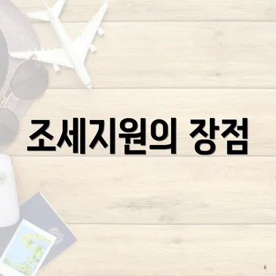 조세지원의 장점