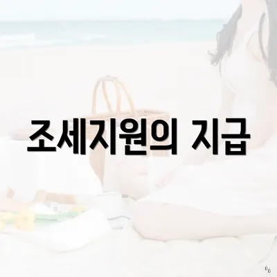 조세지원의 지급