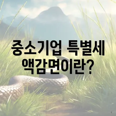중소기업 특별세액감면이란?