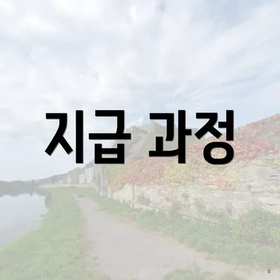 지급 과정