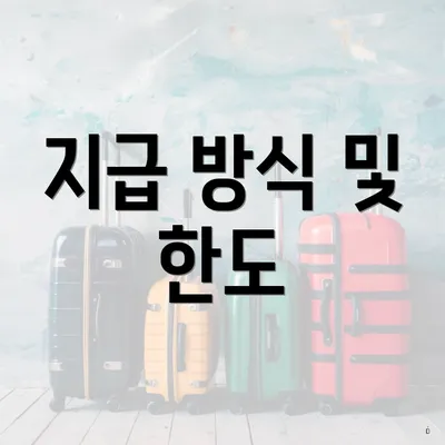지급 방식 및 한도