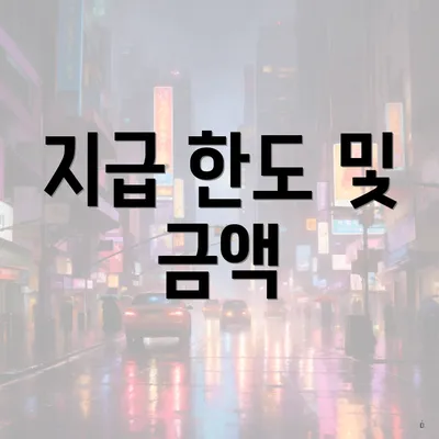 지급 한도 및 금액