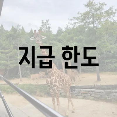 지급 한도