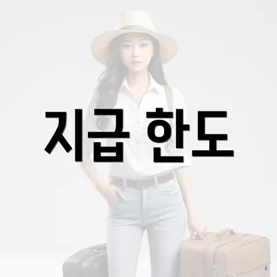 지급 한도