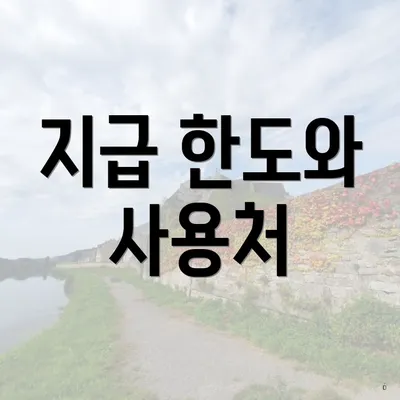 지급 한도와 사용처