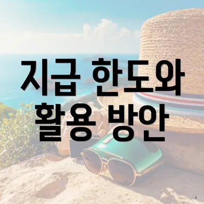 지급 한도와 활용 방안