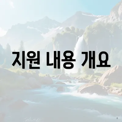 지원 내용 개요