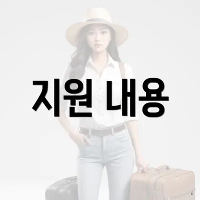 지원 내용