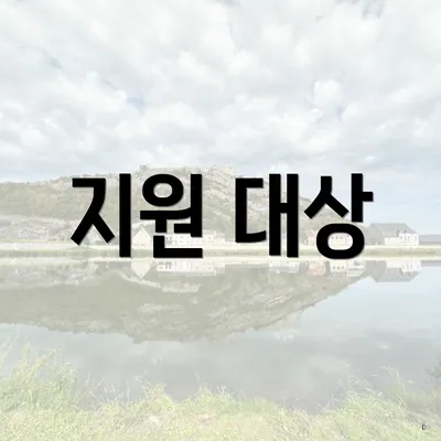 지원 대상