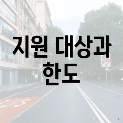 지원 대상과 한도