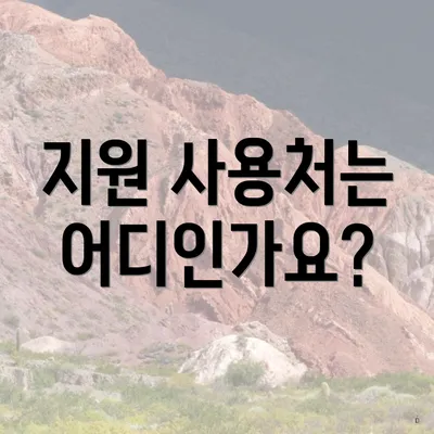 지원 사용처는 어디인가요?