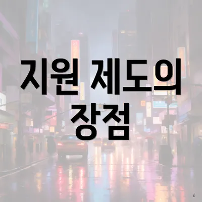 지원 제도의 장점