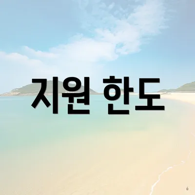 지원 한도