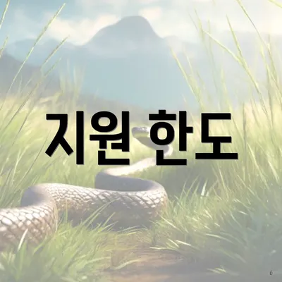 지원 한도