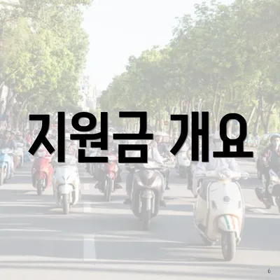 지원금 개요