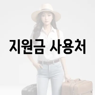 지원금 사용처