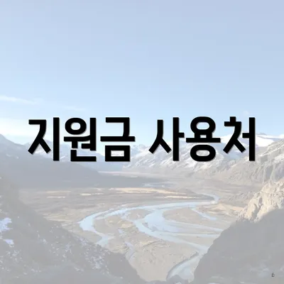 지원금 사용처