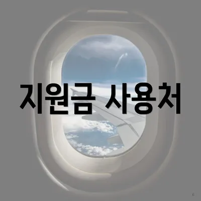 지원금 사용처