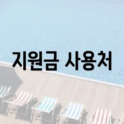 지원금 사용처