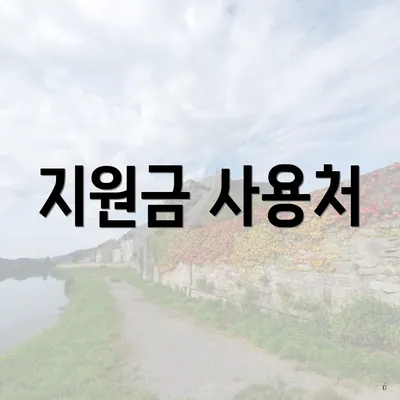 지원금 사용처