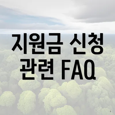 지원금 신청 관련 FAQ