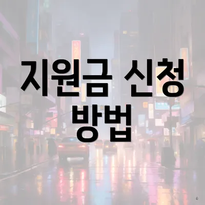 지원금 신청 방법