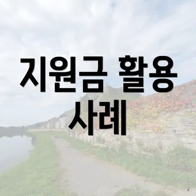 지원금 활용 사례
