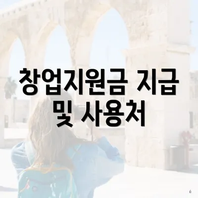 창업지원금 지급 및 사용처