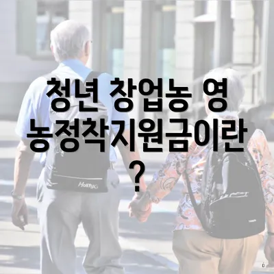 청년 창업농 영농정착지원금이란?