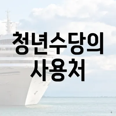 청년수당의 사용처