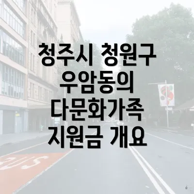 청주시 청원구 우암동의 다문화가족 지원금 개요