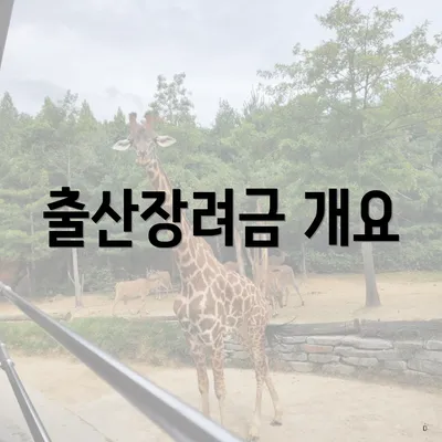 출산장려금 개요
