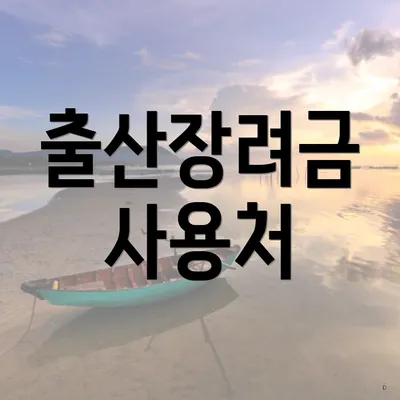 출산장려금 사용처