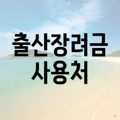 출산장려금 사용처