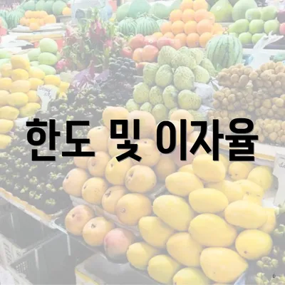 한도 및 이자율