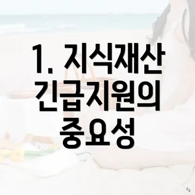 1. 지식재산 긴급지원의 중요성