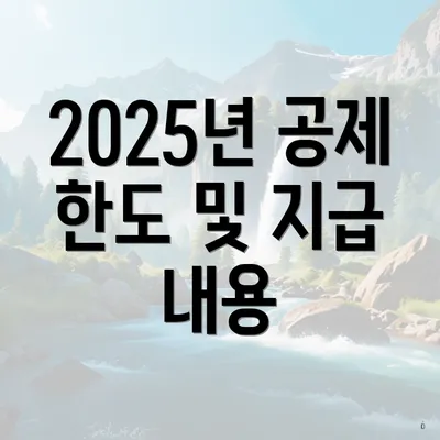 2025년 공제 한도 및 지급 내용