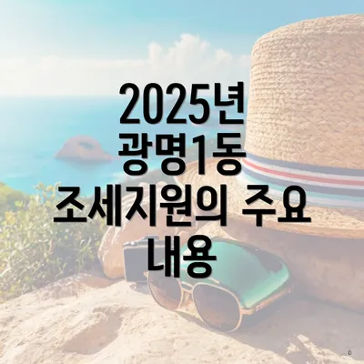 2025년 광명1동 조세지원의 주요 내용