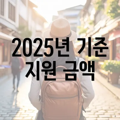 2025년 기준 지원 금액