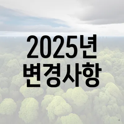 2025년 변경사항