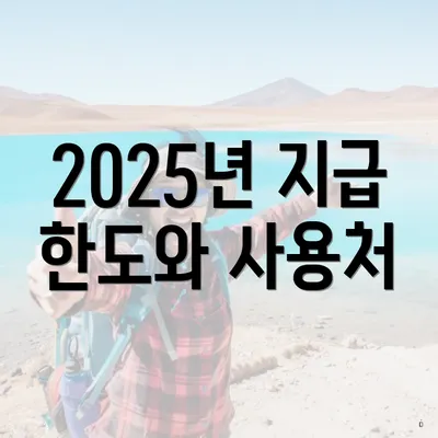 2025년 지급 한도와 사용처