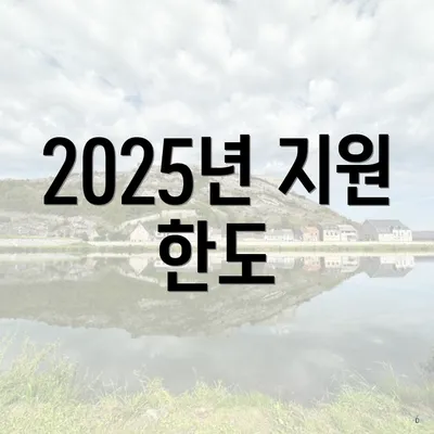2025년 지원 한도
