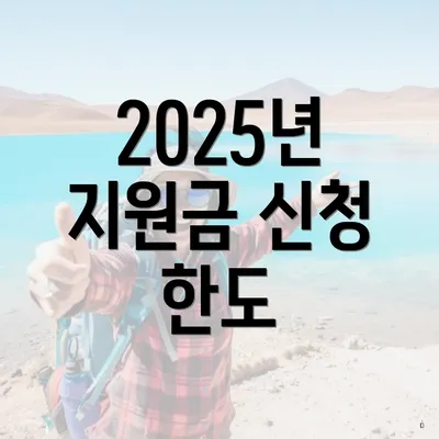 2025년 지원금 신청 한도