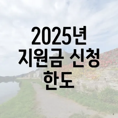 2025년 지원금 신청 한도
