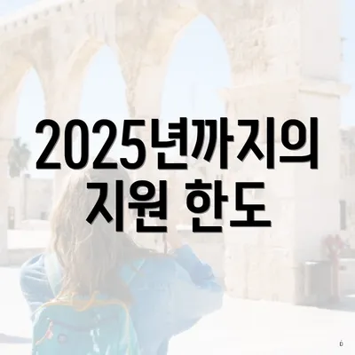 2025년까지의 지원 한도