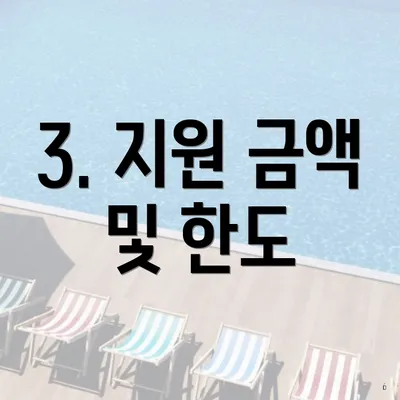 3. 지원 금액 및 한도